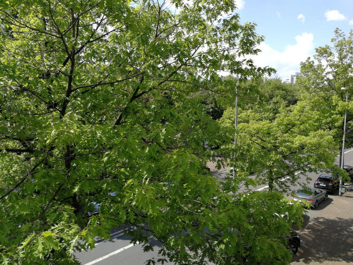 2-Zimmer Apartment Sofia, Gemuetlich Wie Zu Hause 奥芬巴赫 外观 照片